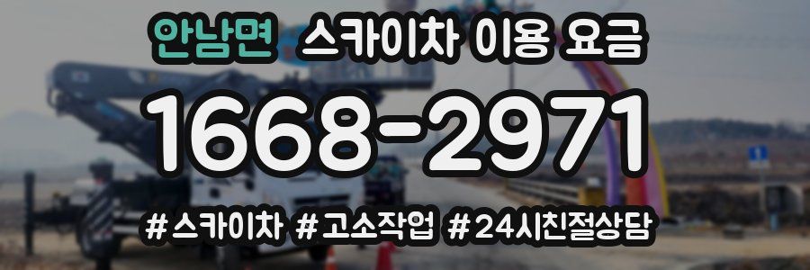 안남면 스카이차 이용 요금