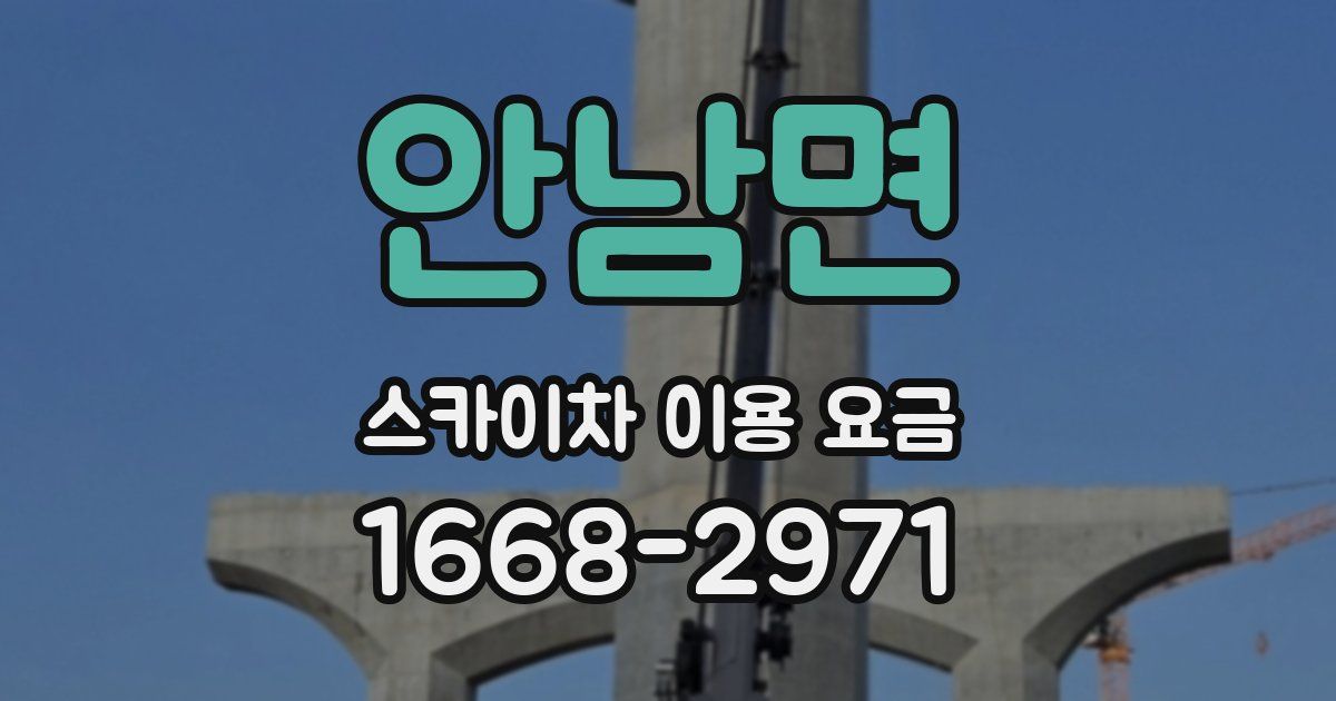안남면 스카이차 이용 요금