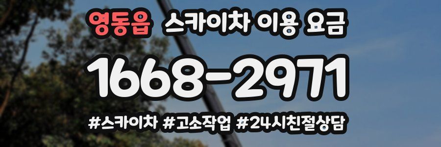 영동읍 스카이차 이용 요금