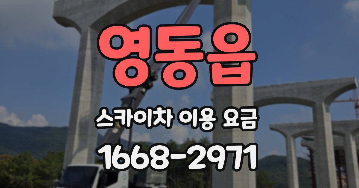 영동읍 스카이차 이용 요금