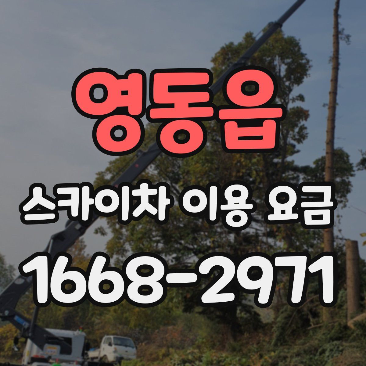 영동읍 스카이차 이용 요금