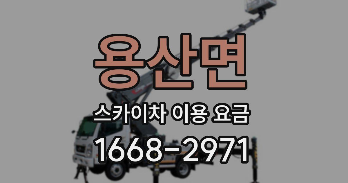용산면 스카이차 이용 요금