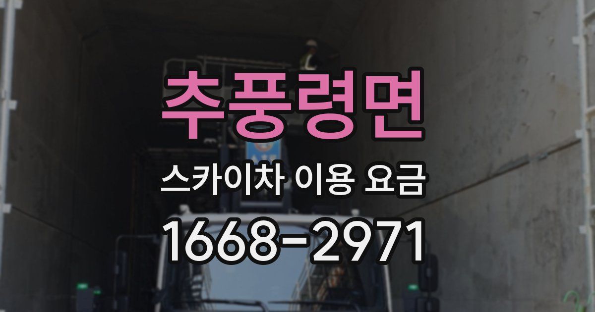 추풍령면 스카이차 이용 요금
