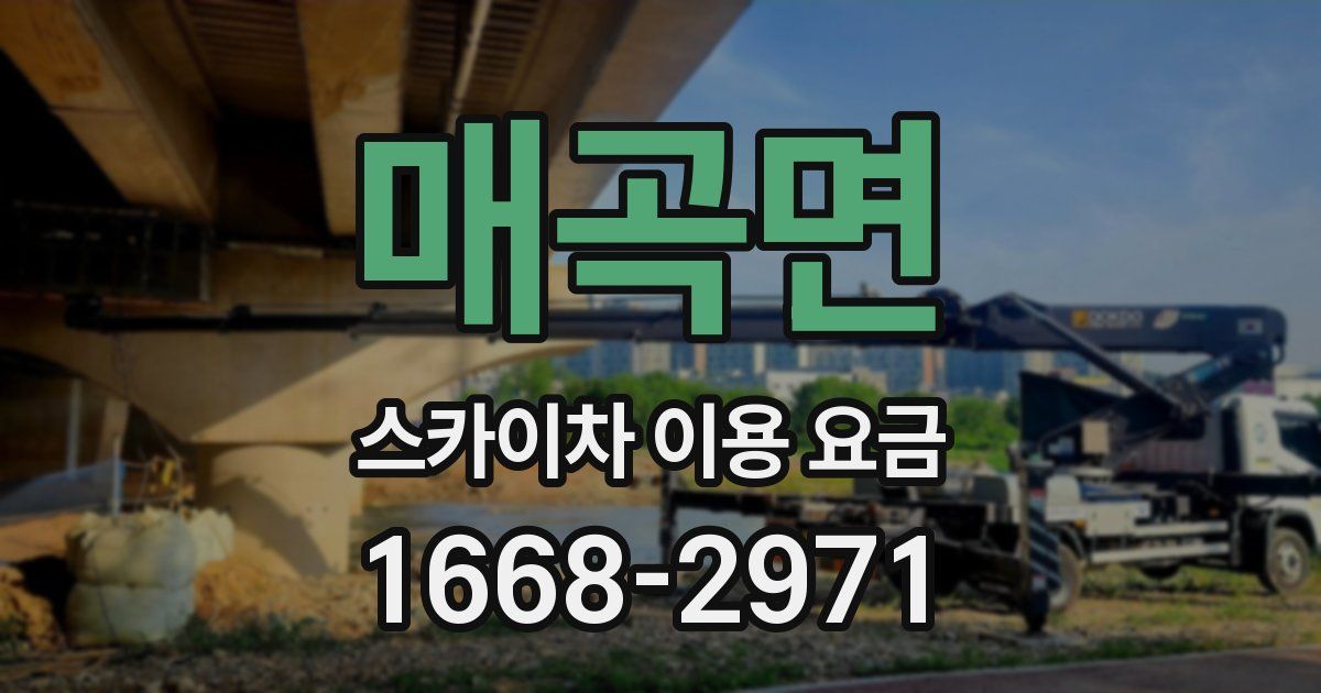 매곡면 스카이차 이용 요금