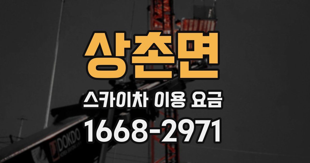 상촌면 스카이차 이용 요금