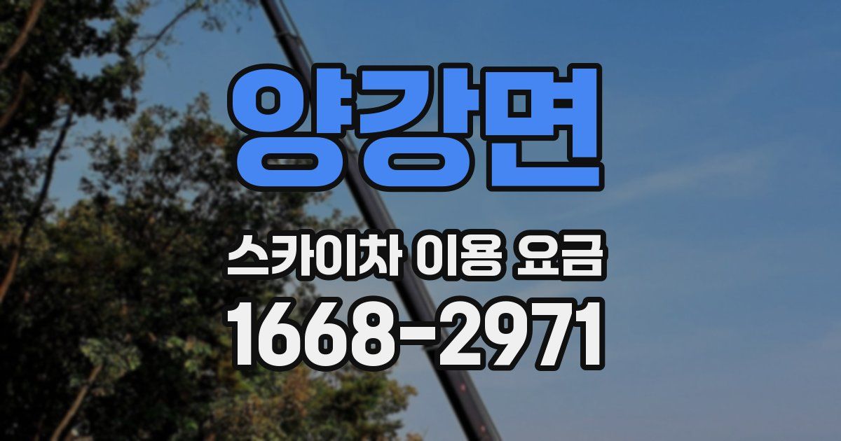양강면 스카이차 이용 요금