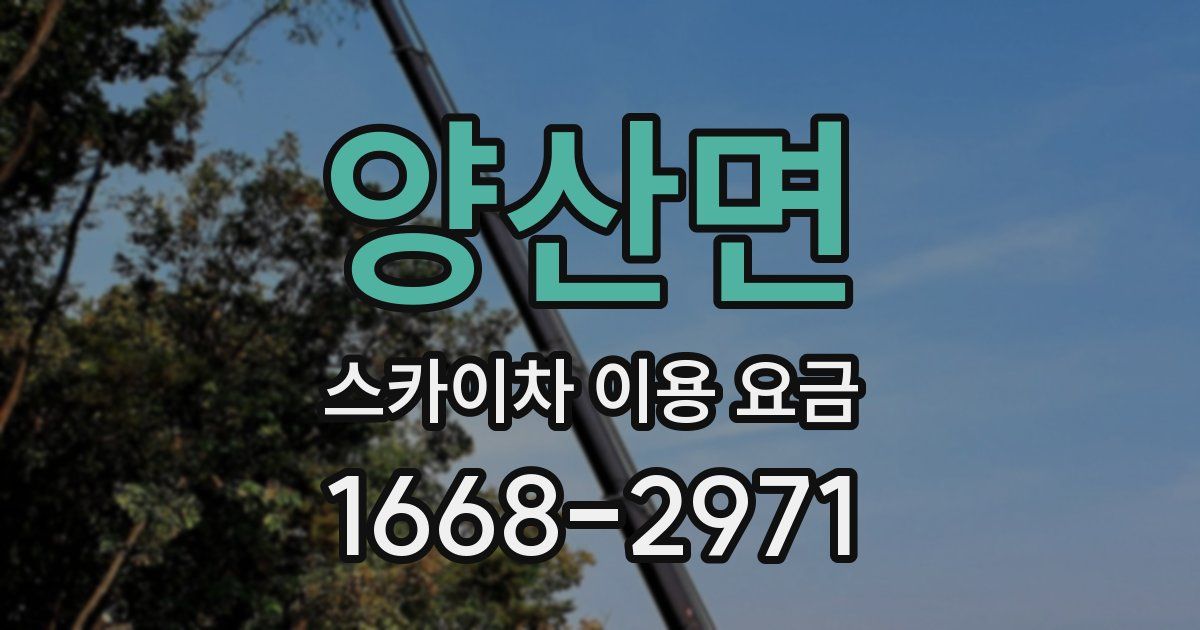 양산면 스카이차 이용 요금