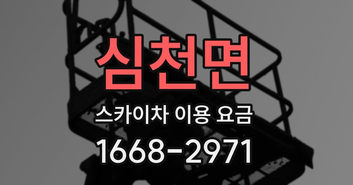 심천면 스카이차 이용 요금