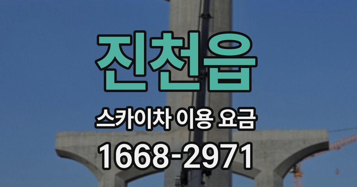 진천읍 스카이차 이용 요금