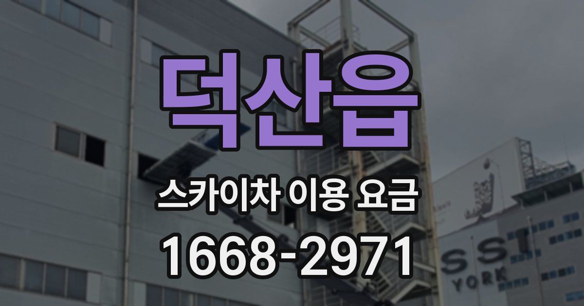 덕산읍 스카이차 이용 요금