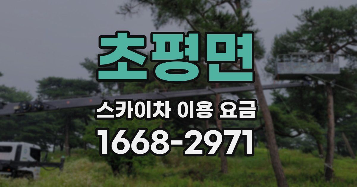 초평면 스카이차 이용 요금