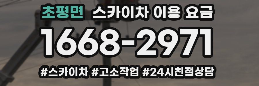 초평면 스카이차 이용 요금