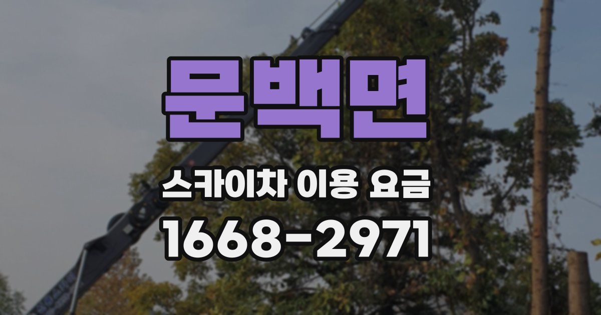 문백면 스카이차 이용 요금