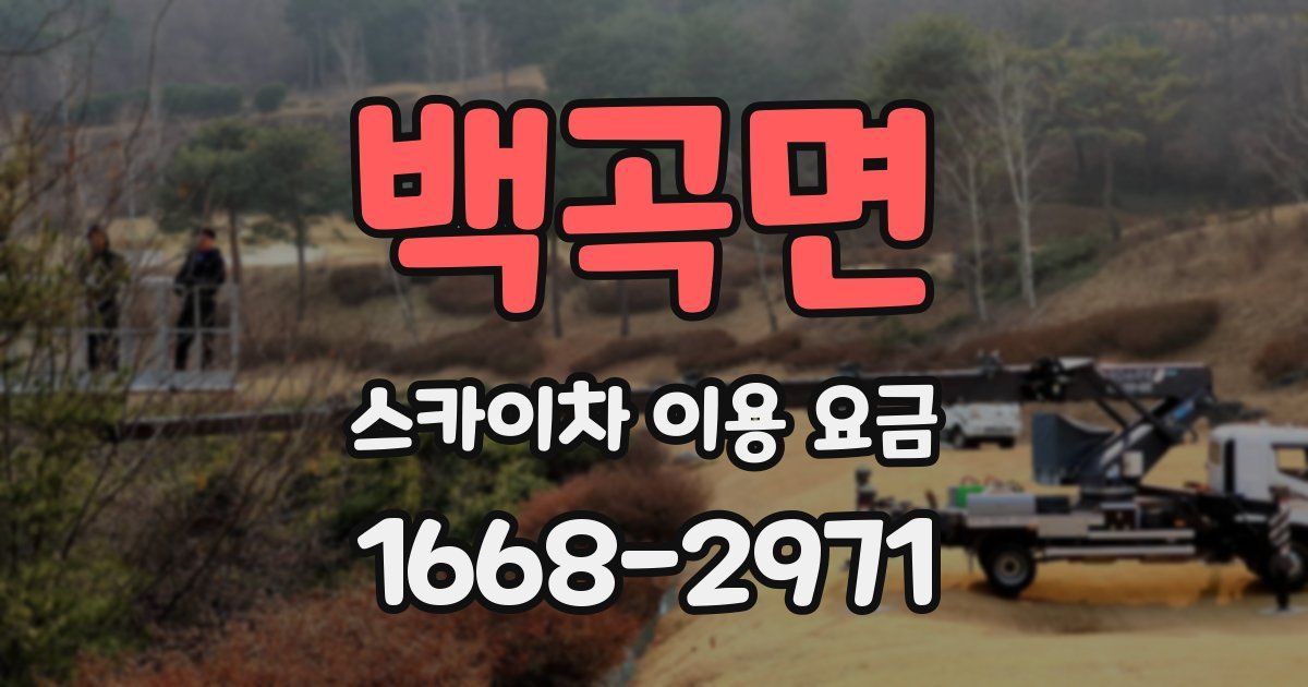 백곡면 스카이차 이용 요금