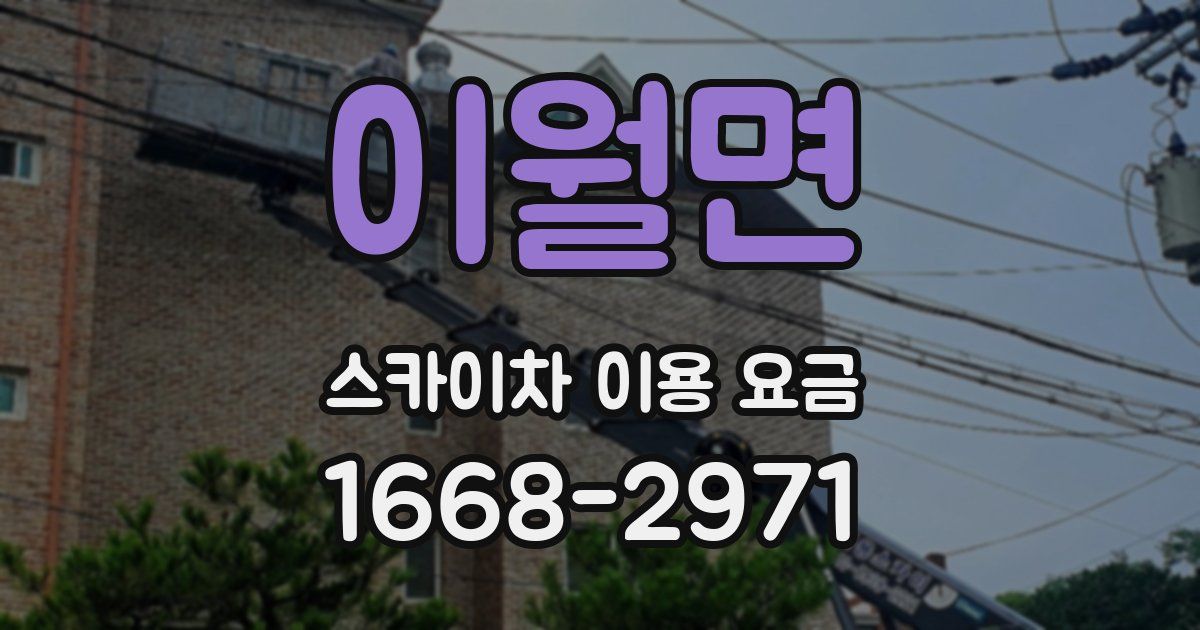 이월면 스카이차 이용 요금
