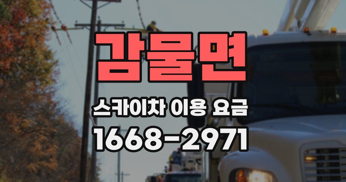 감물면 스카이차 이용 요금