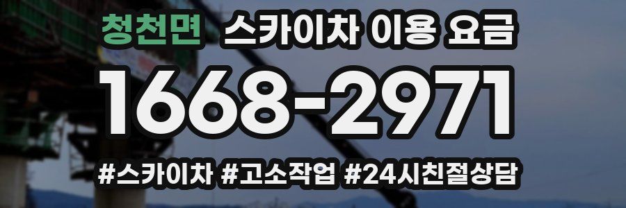 청천면 스카이차 이용 요금