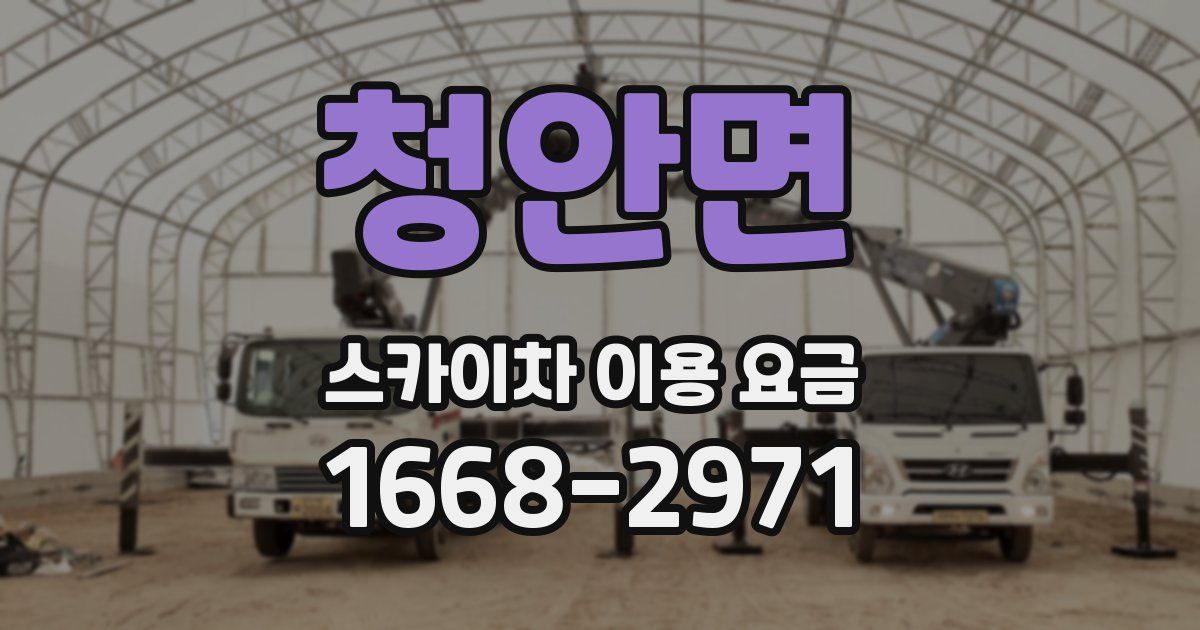 청안면 스카이차 이용 요금