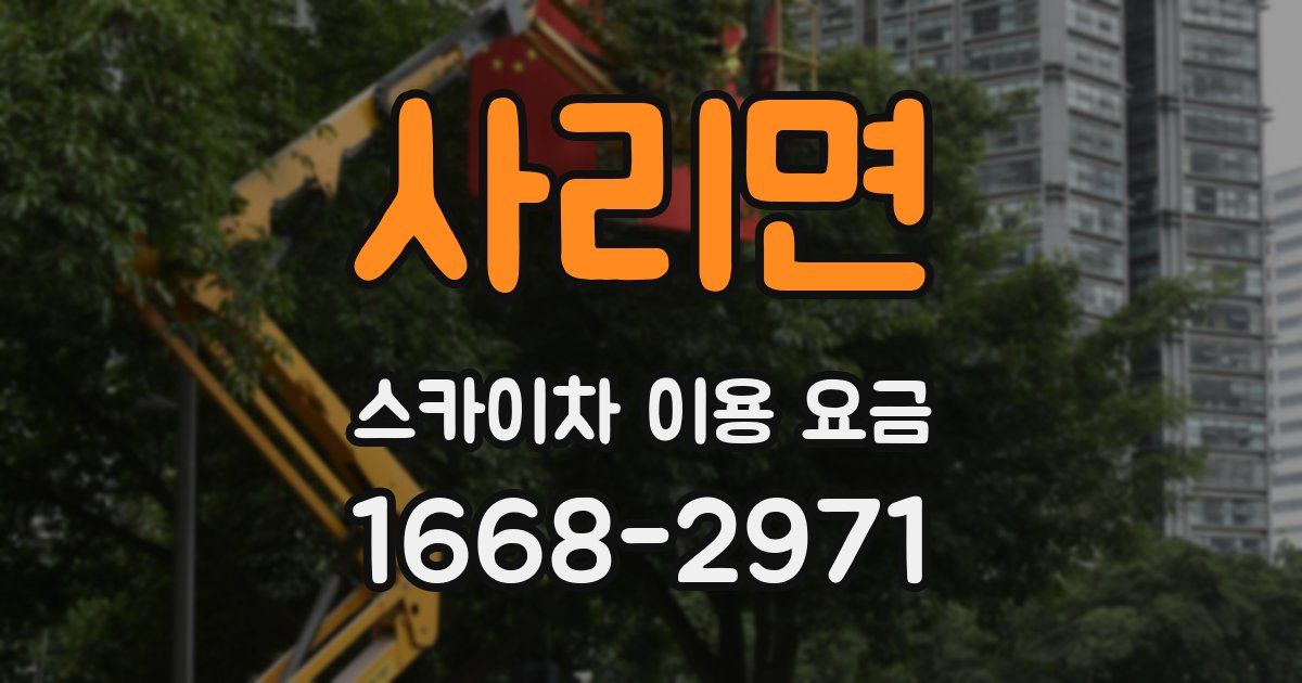 사리면 스카이차 이용 요금