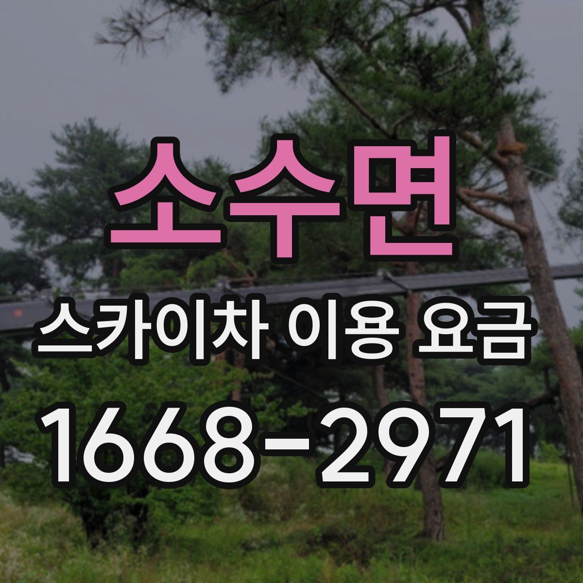 소수면 스카이차 이용 요금