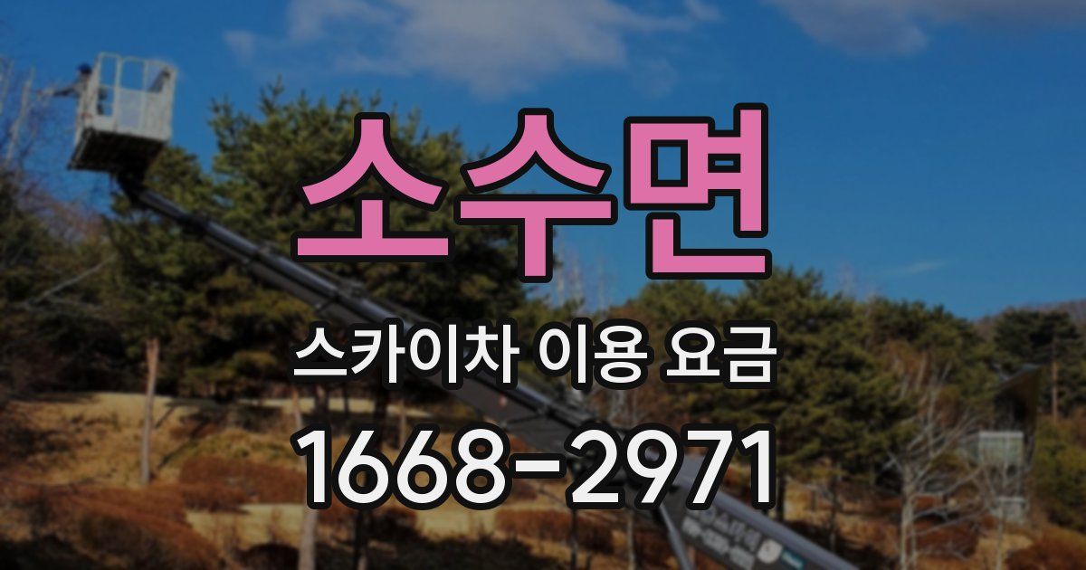 소수면 스카이차 이용 요금