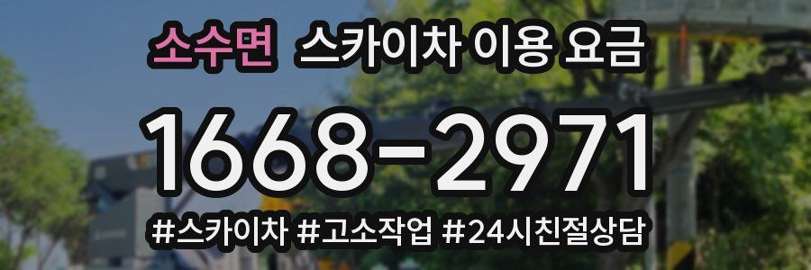 소수면 스카이차 이용 요금