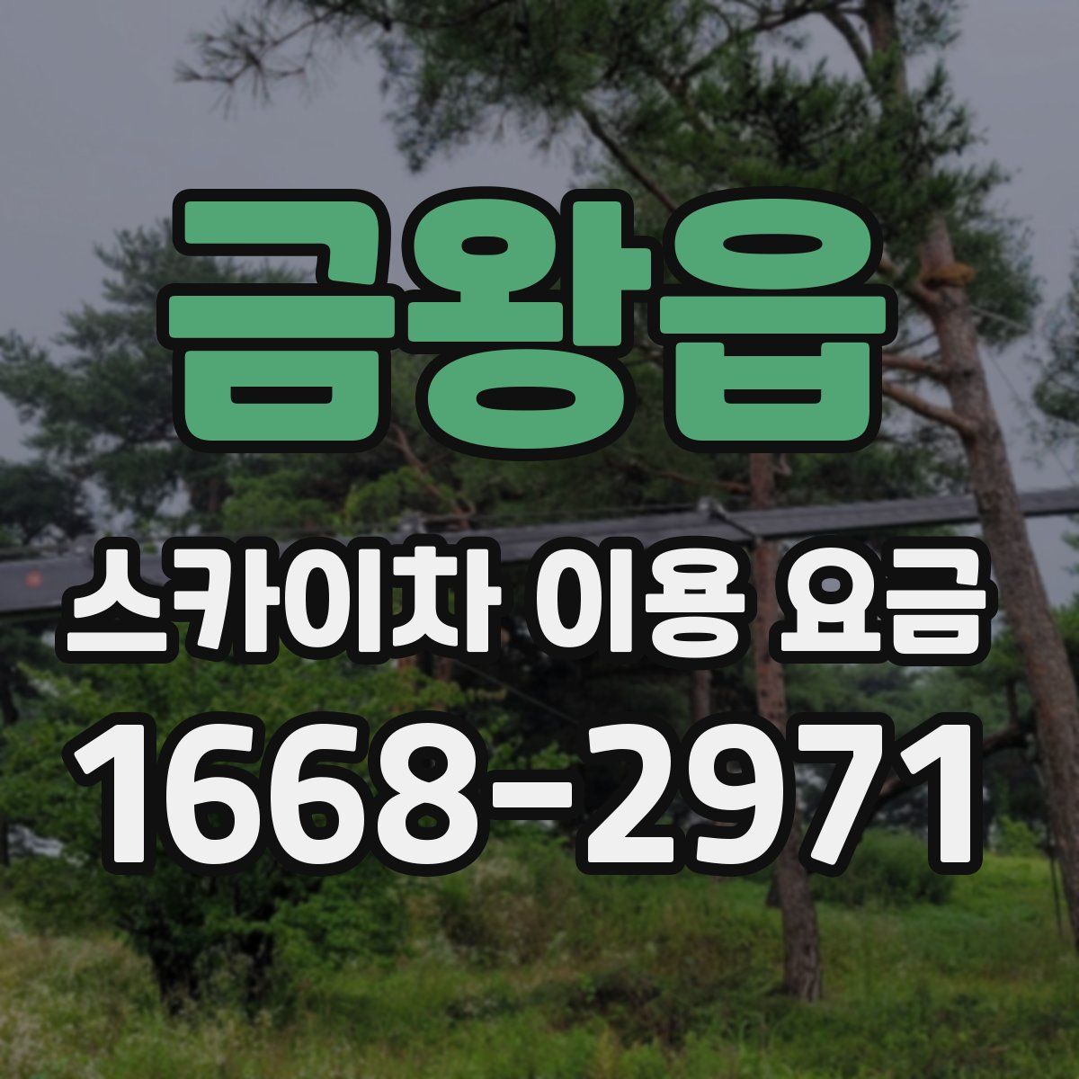 금왕읍 스카이차 이용 요금