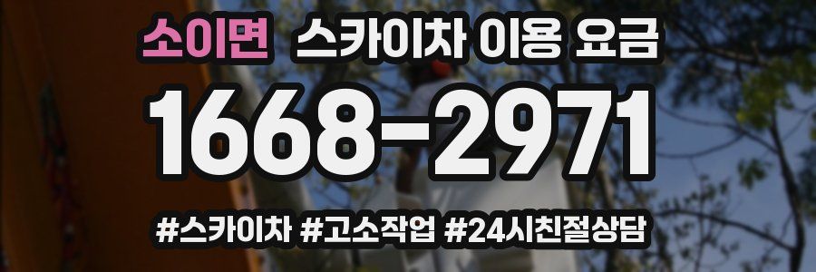 소이면 스카이차 이용 요금