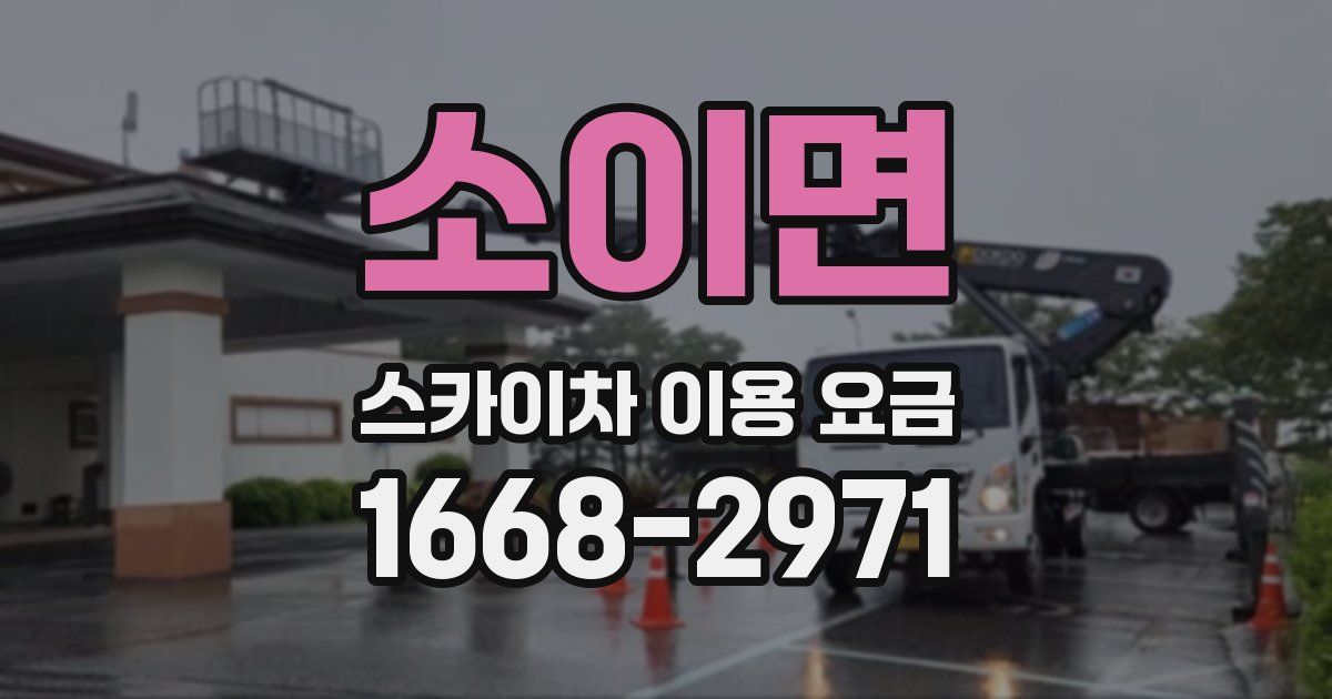 소이면 스카이차 이용 요금