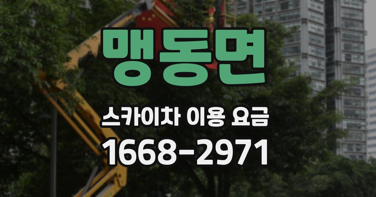 맹동면 스카이차 이용 요금