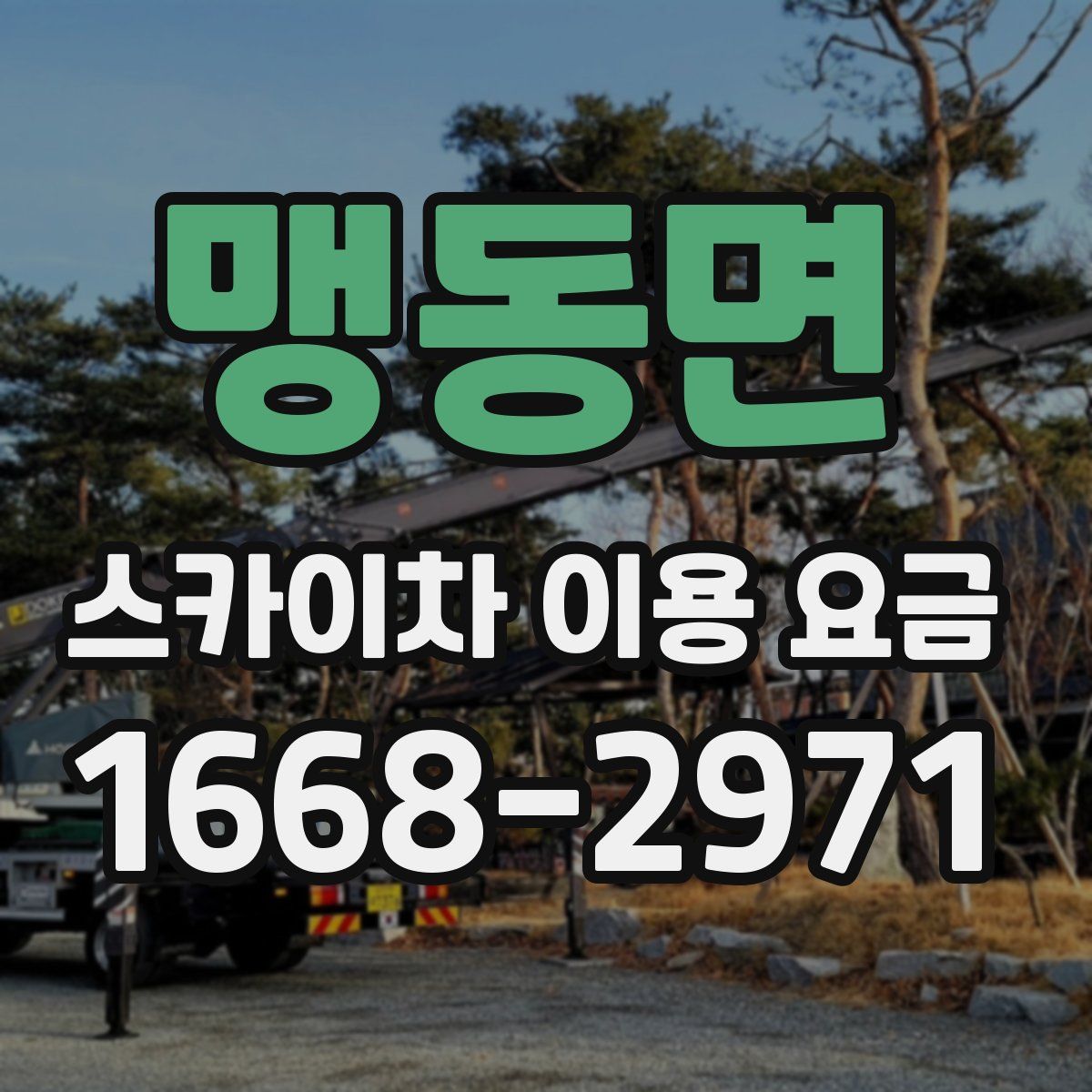 맹동면 스카이차 이용 요금