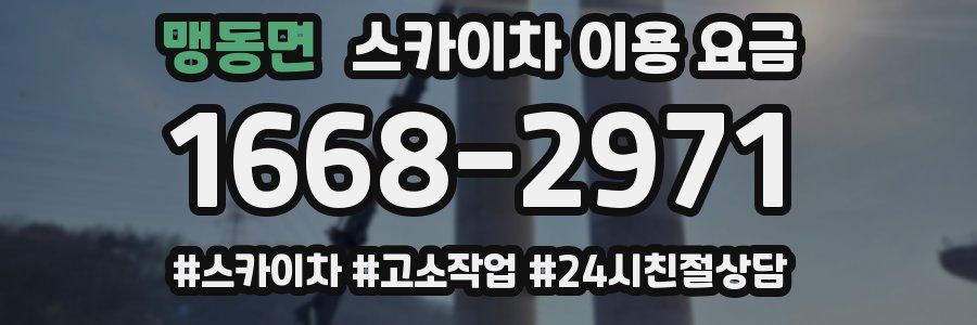 맹동면 스카이차 이용 요금