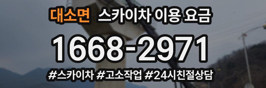 대소면 스카이차 이용 요금