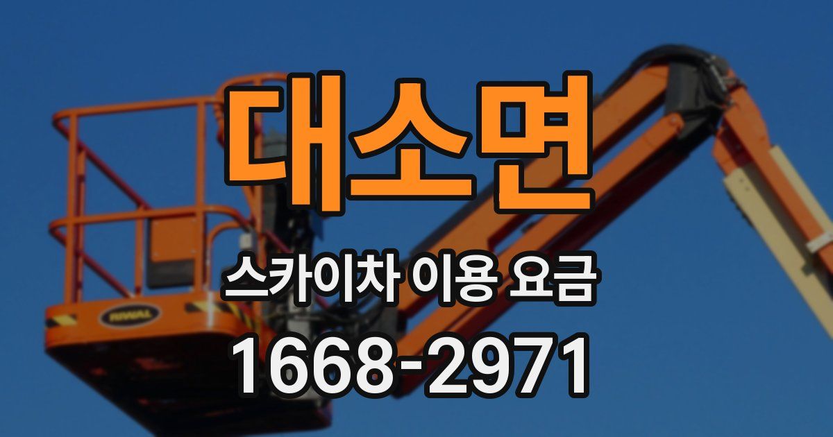 대소면 스카이차 이용 요금