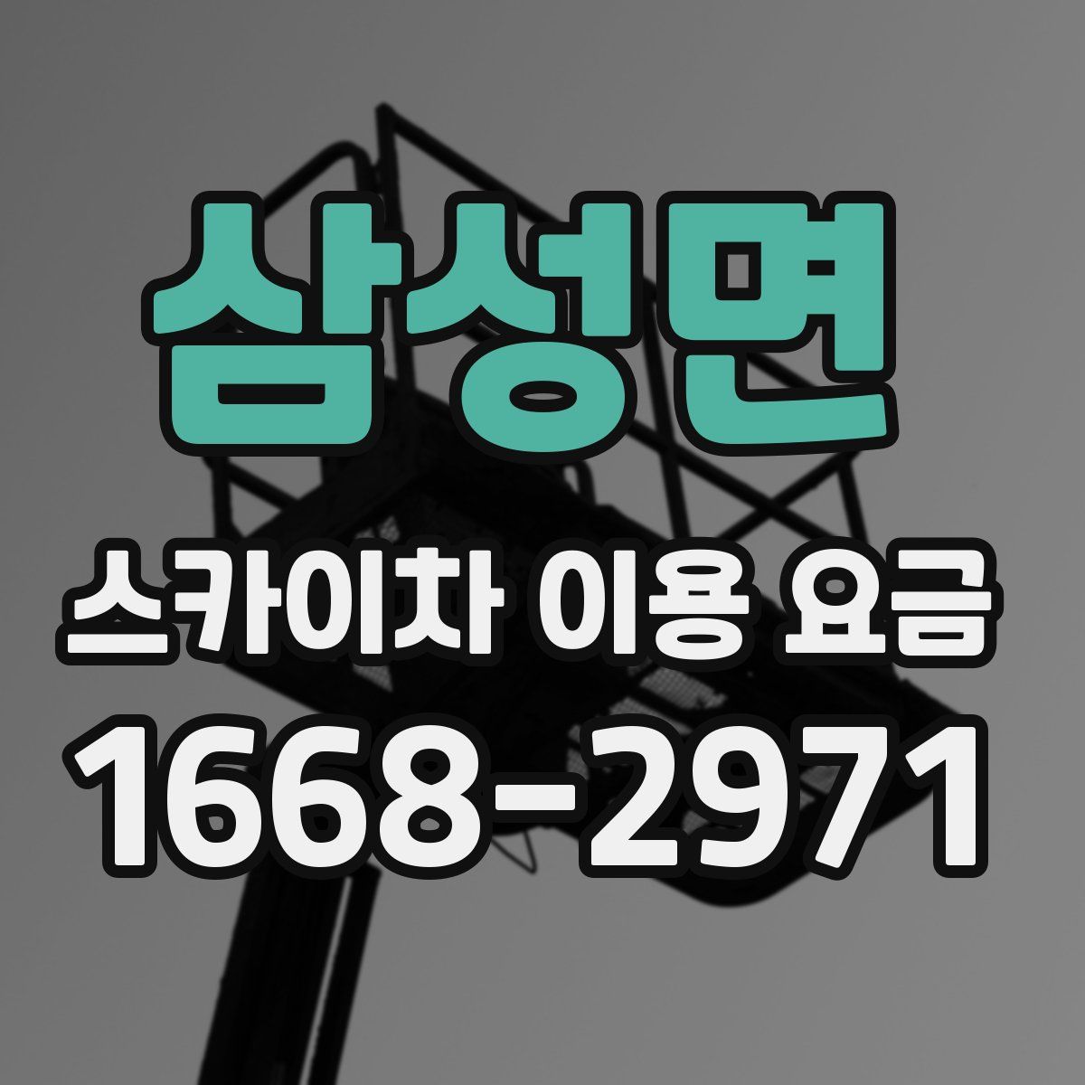 삼성면 스카이차 이용 요금