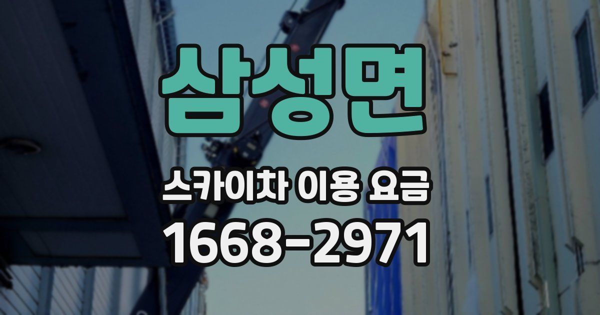 삼성면 스카이차 이용 요금