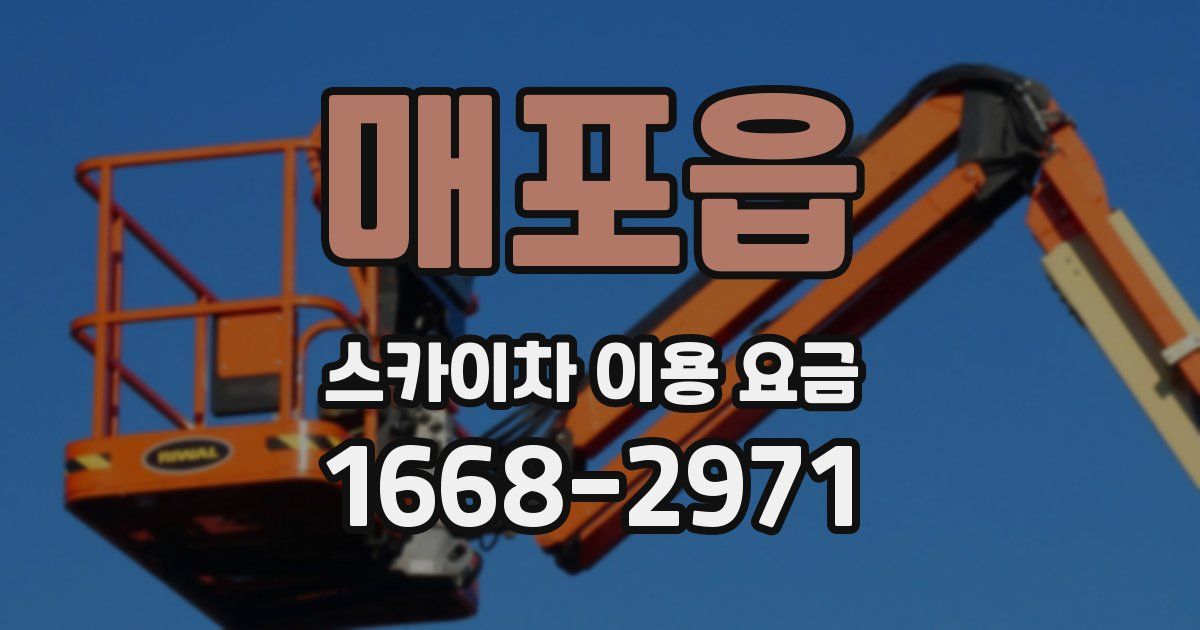 매포읍 스카이차 이용 요금