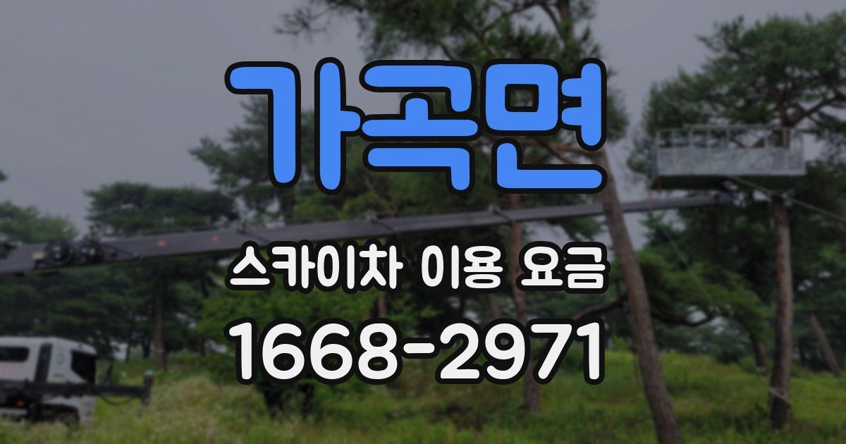 가곡면 스카이차 이용 요금