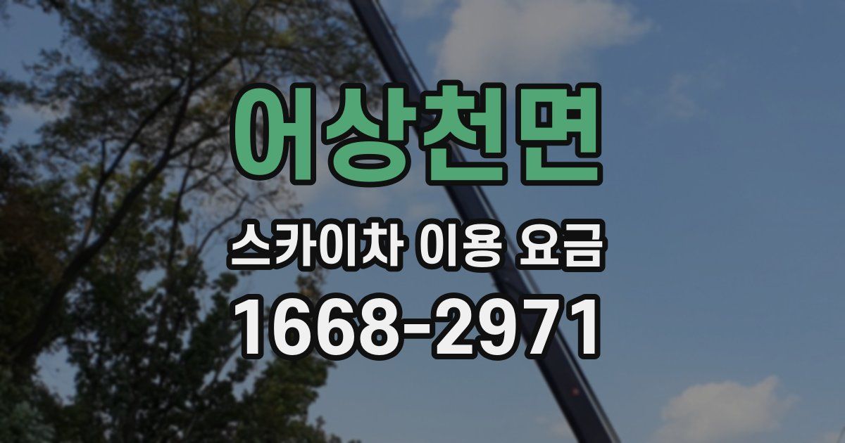 어상천면 스카이차 이용 요금