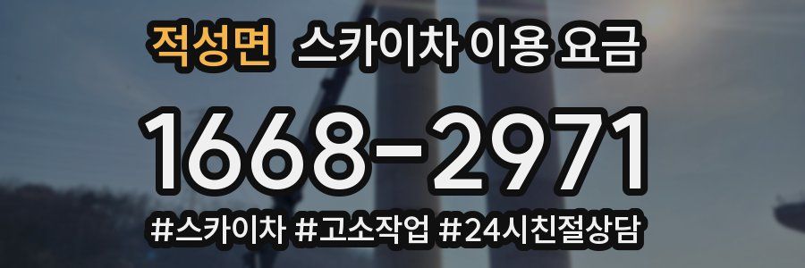 적성면 스카이차 이용 요금