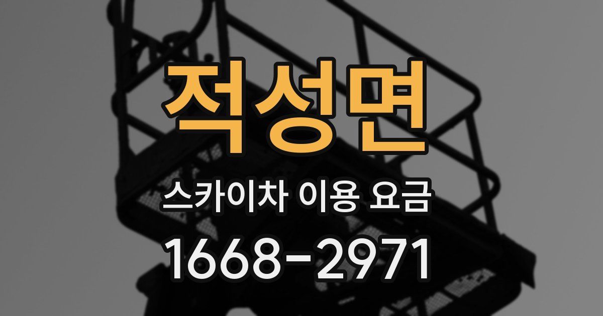 적성면 스카이차 이용 요금