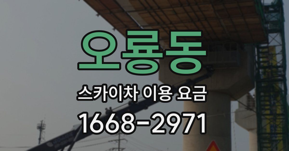 오룡동 스카이차 이용 요금