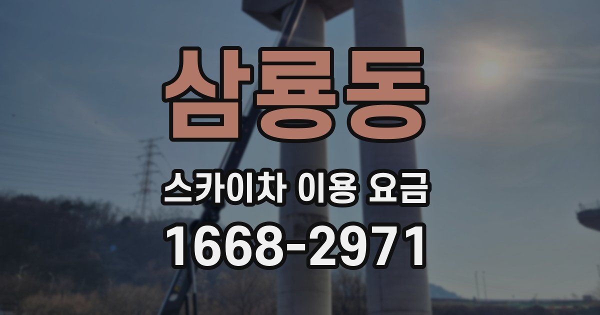 삼룡동 스카이차 이용 요금