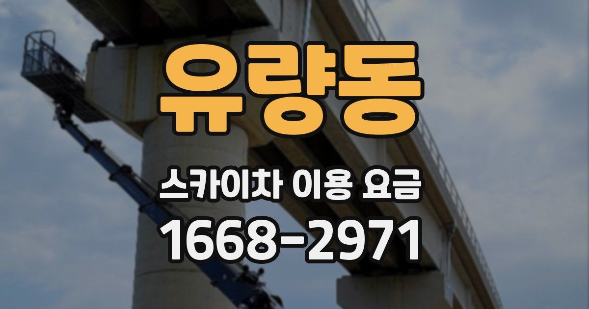 유량동 스카이차 이용 요금
