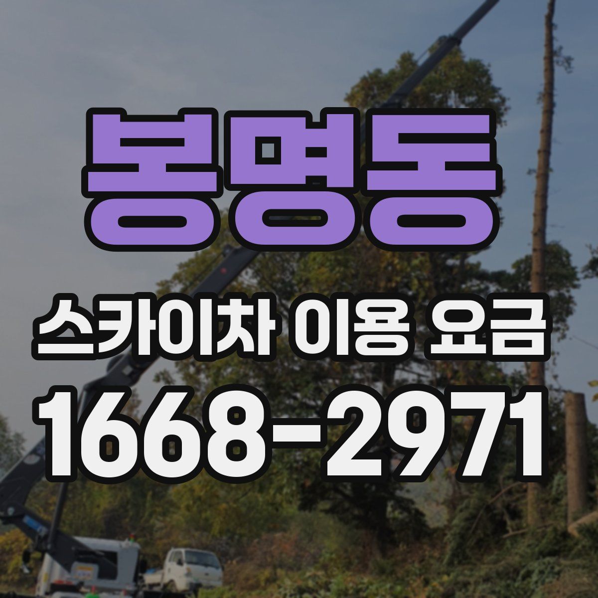 봉명동 스카이차 이용 요금