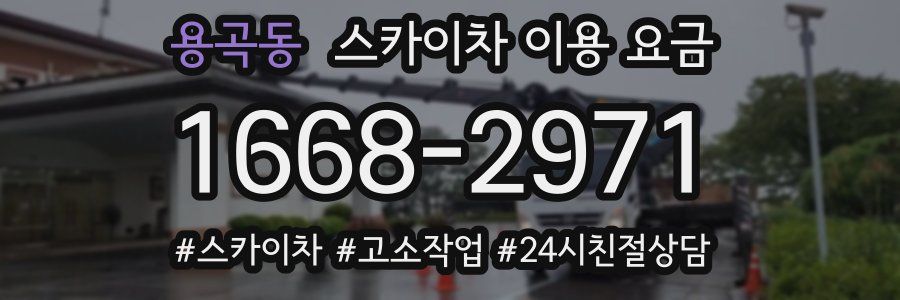 용곡동 스카이차 이용 요금