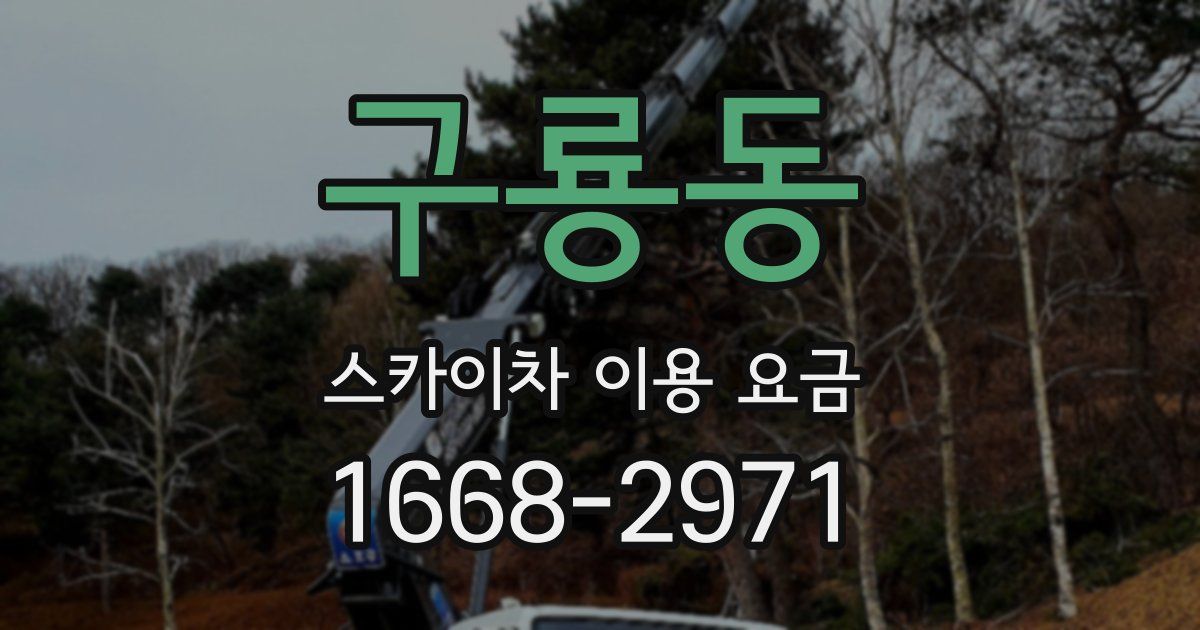 구룡동 스카이차 이용 요금