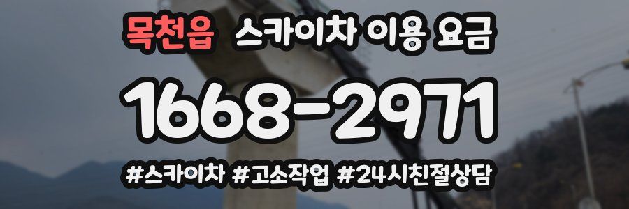 목천읍 스카이차 이용 요금