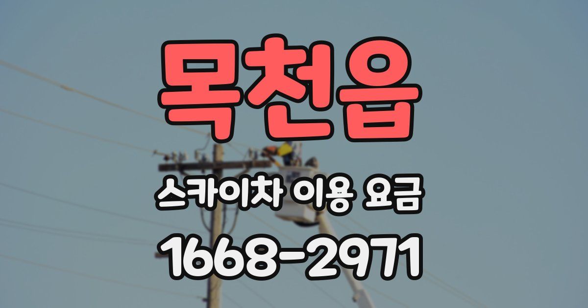 목천읍 스카이차 이용 요금