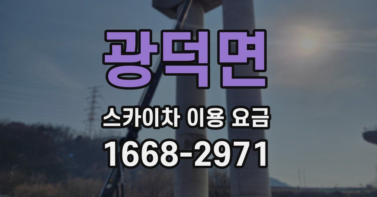 광덕면 스카이차 이용 요금